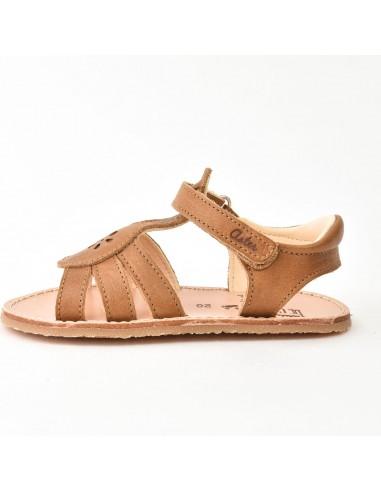 Aster Dingolette Camel outlet